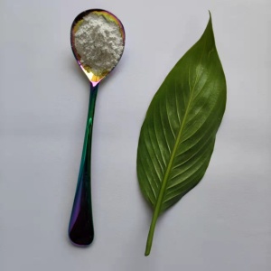 偶联剂改性纳米氧化铝粉末 氧化铝水分散液